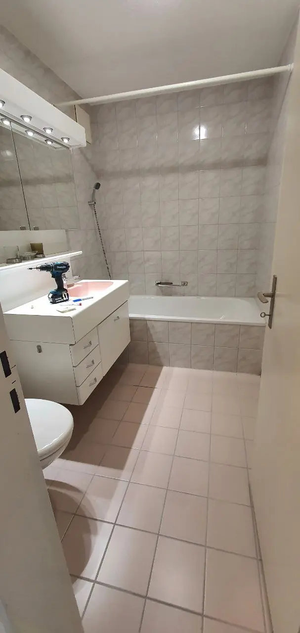 Swiss Renovation - Badzimmer Renovierung