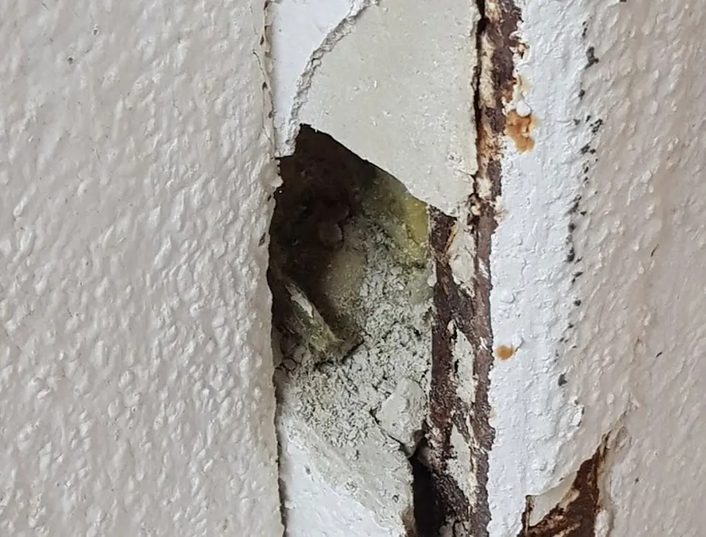 Swiss Renovation Swiss Renovation - Betonsanierung