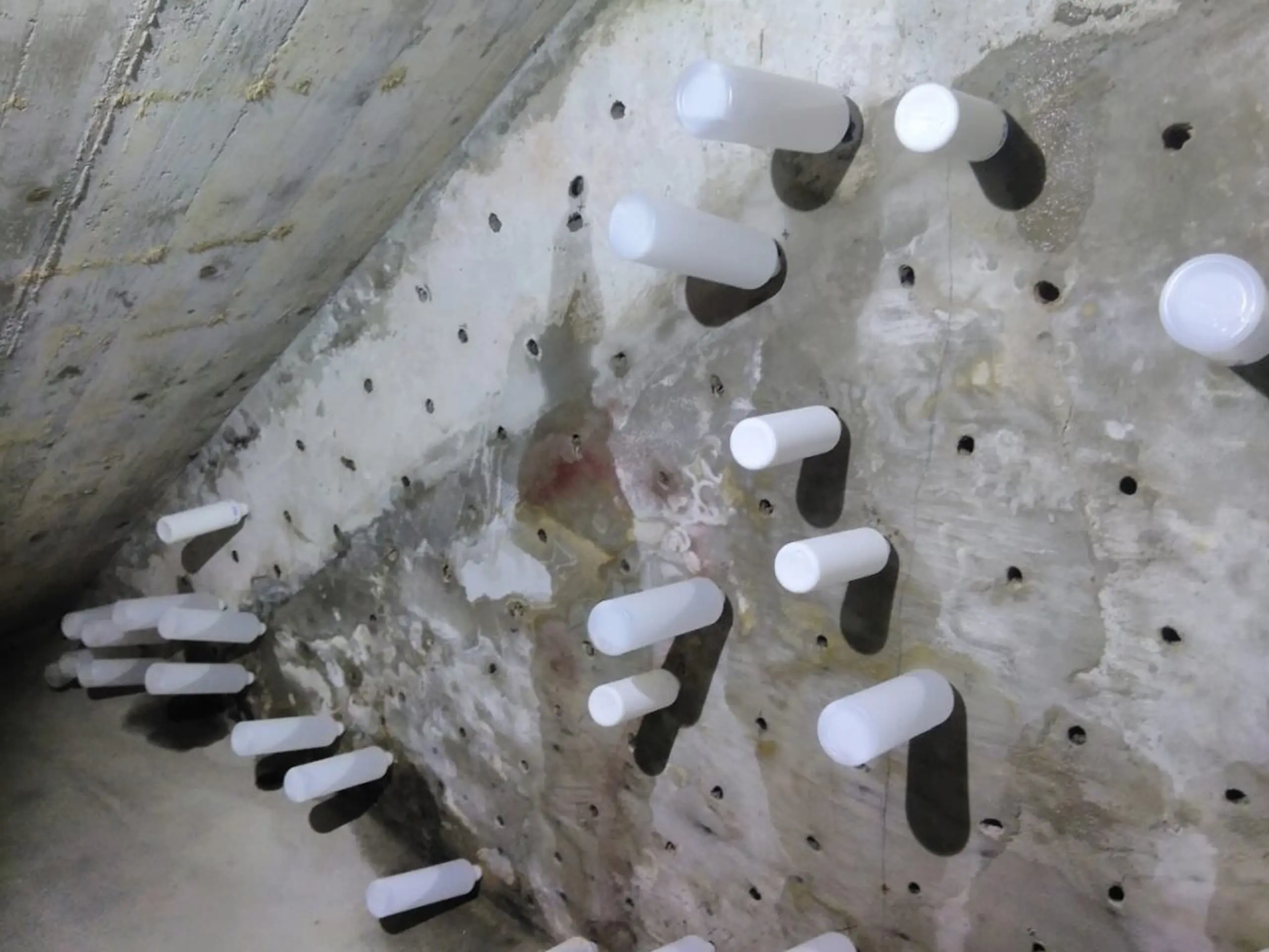 Swiss Renovation Swiss Renovation - Feuchte Keller und Schimmel