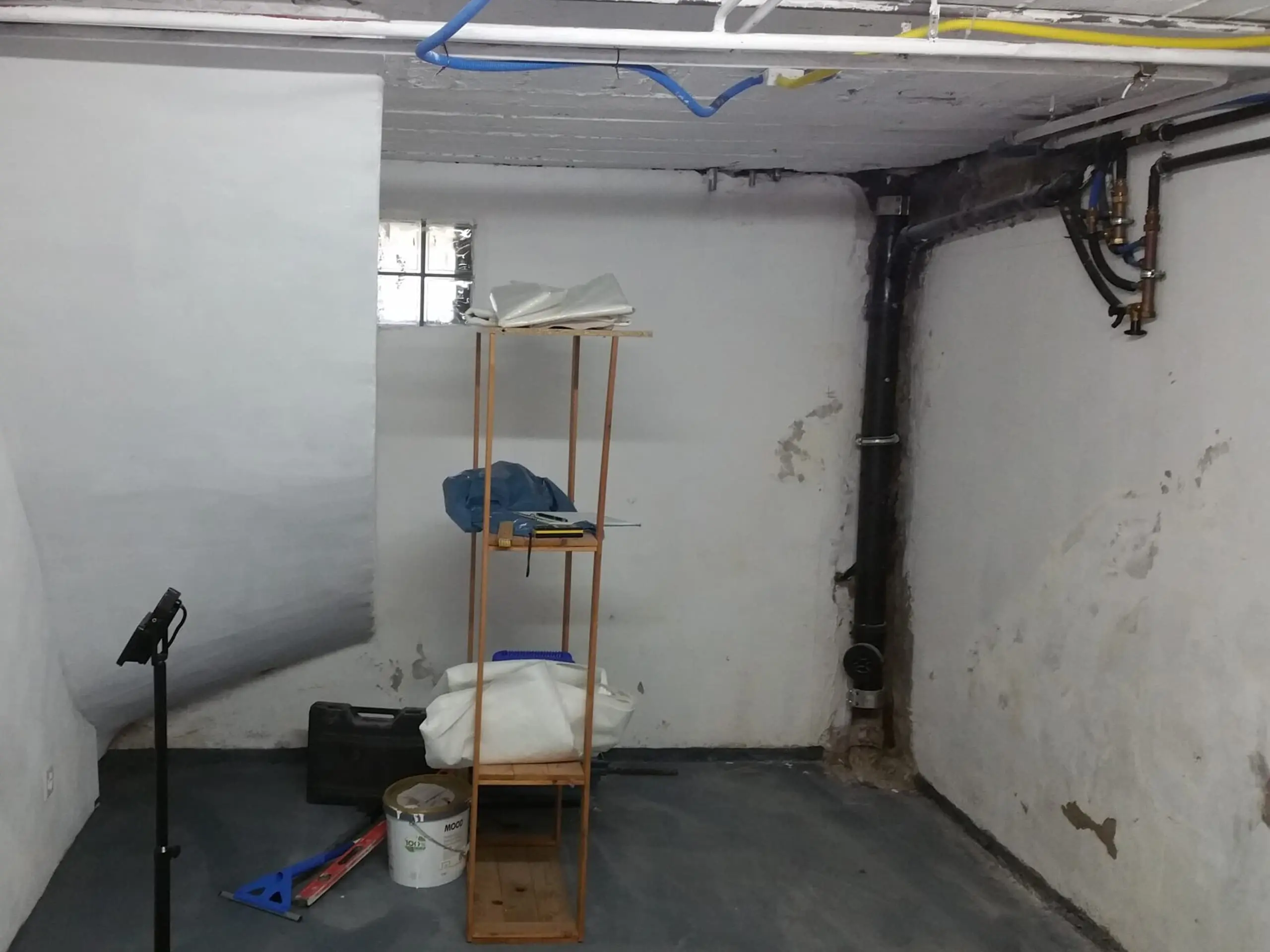 Swiss Renovation Swiss Renovation - Feuchte Keller und Schimmel