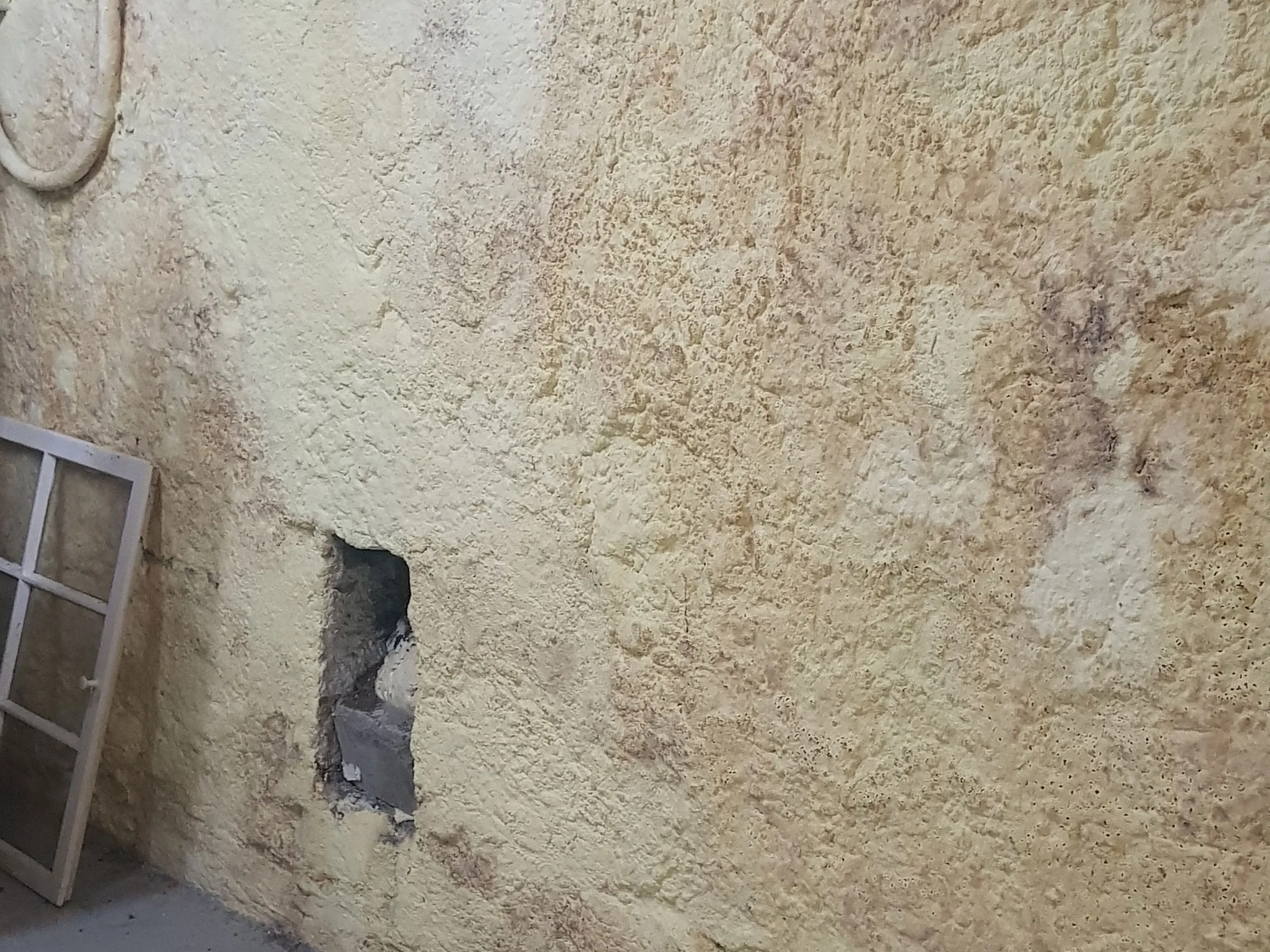 Swiss Renovation Swiss Renovation - Feuchte Keller und Schimmel