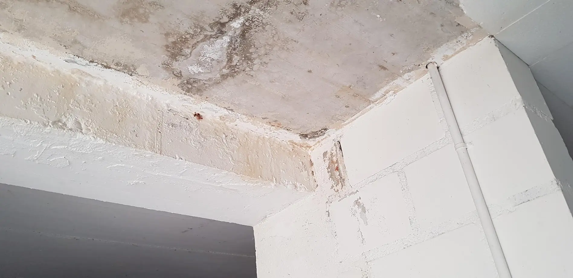 Swiss Renovation Swiss Renovation - Kellersanierung