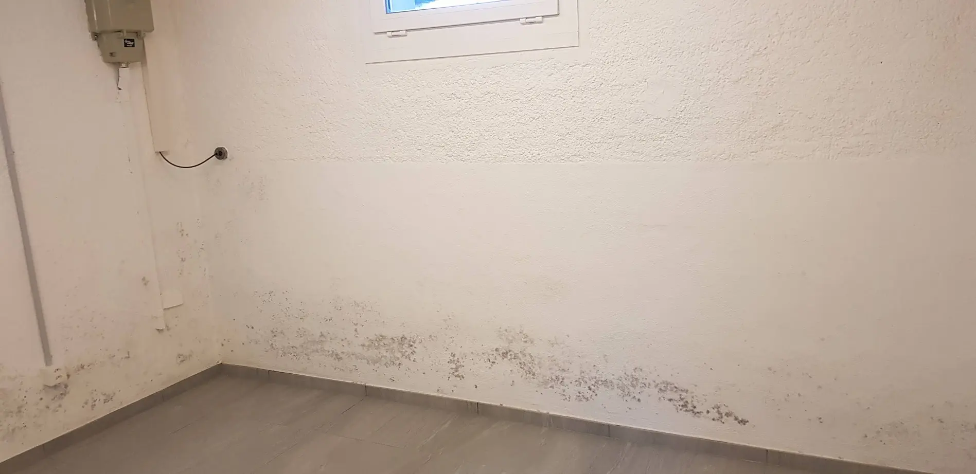 Swiss Renovation Swiss Renovation - Kellersanierung