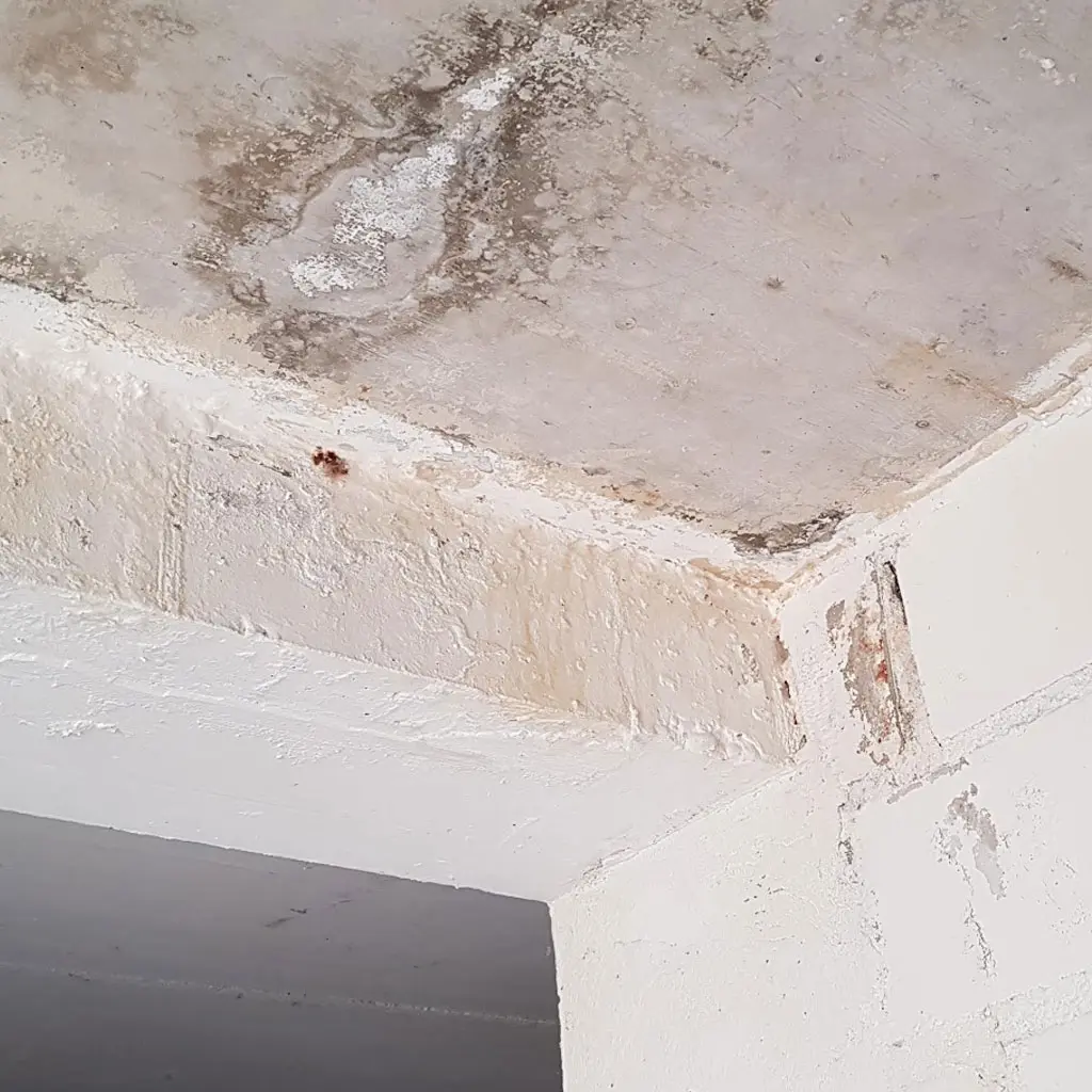 Swiss Renovation - Kellersanierung