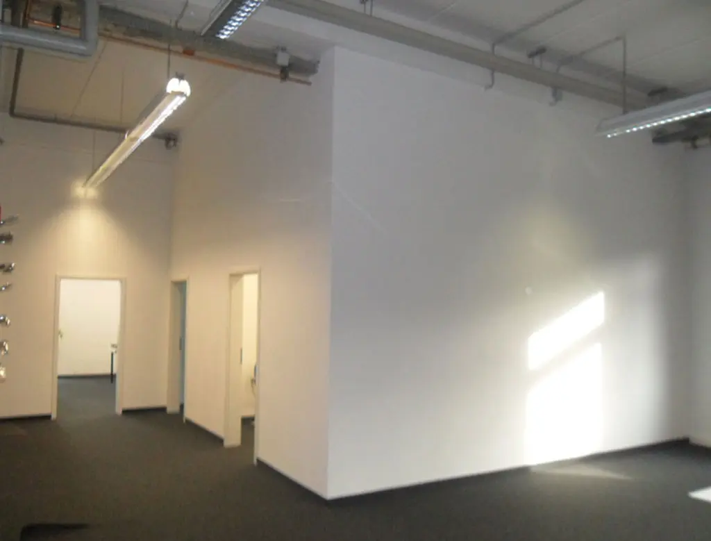 Swiss Renovation Swiss Renovation - Putz-Arbeit