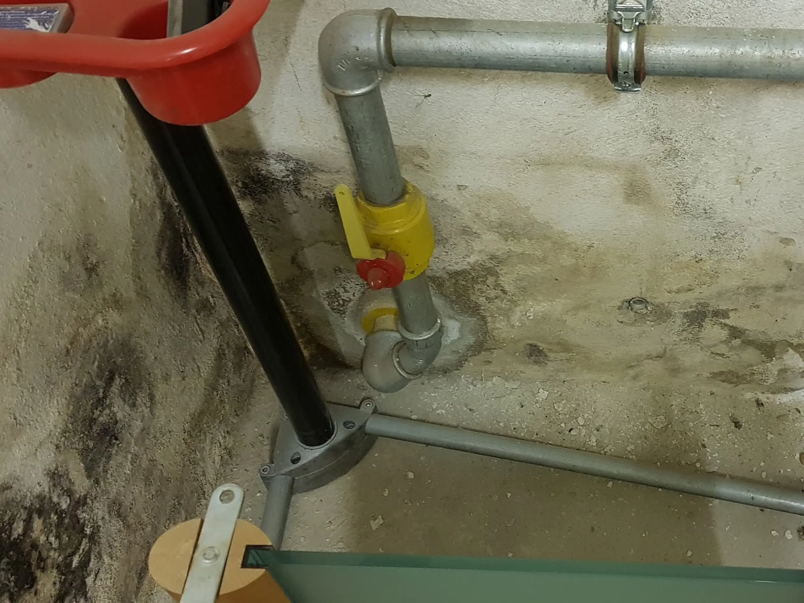 Swiss Renovation - Schimmelbefall