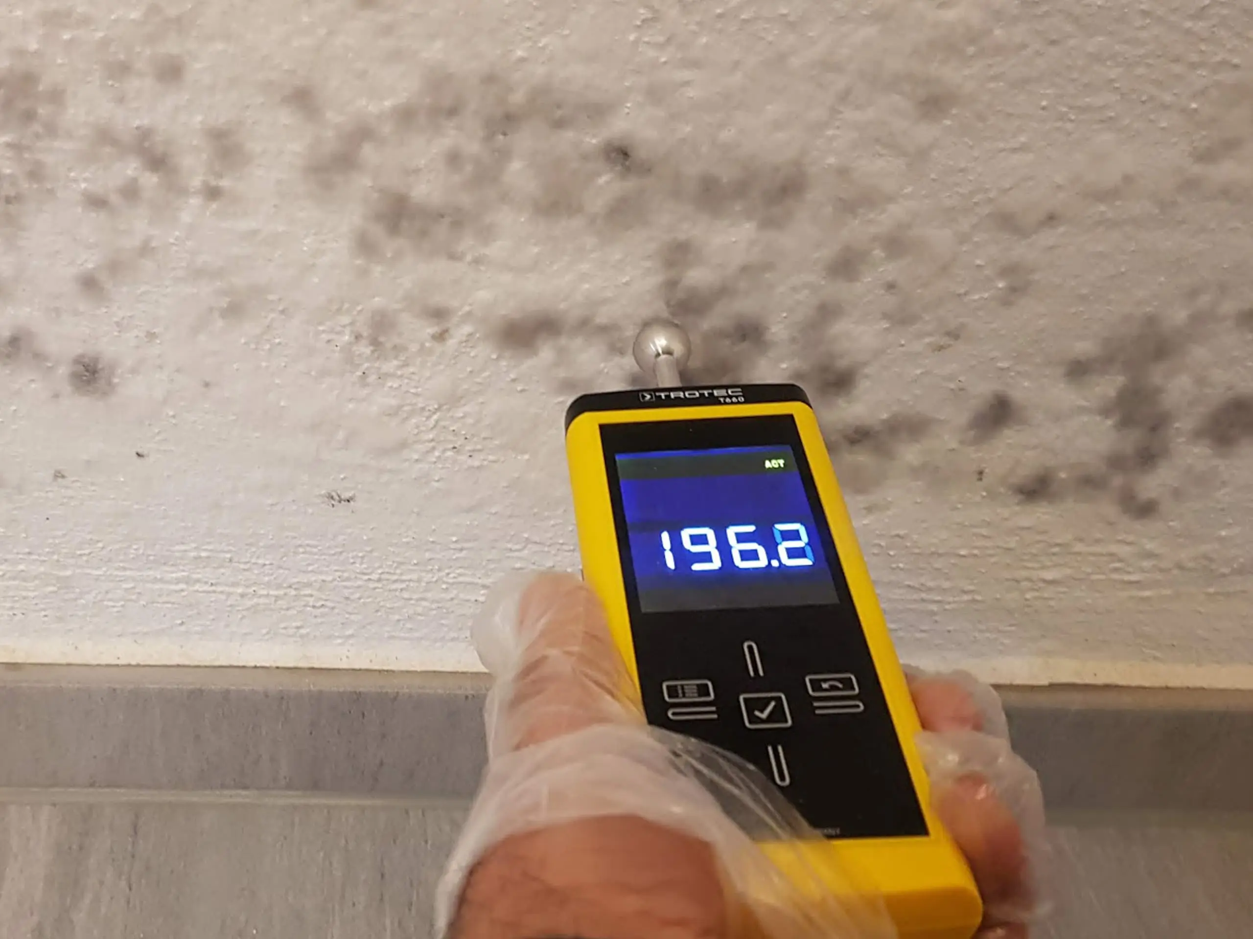 Swiss Renovation - Schimmelbefall