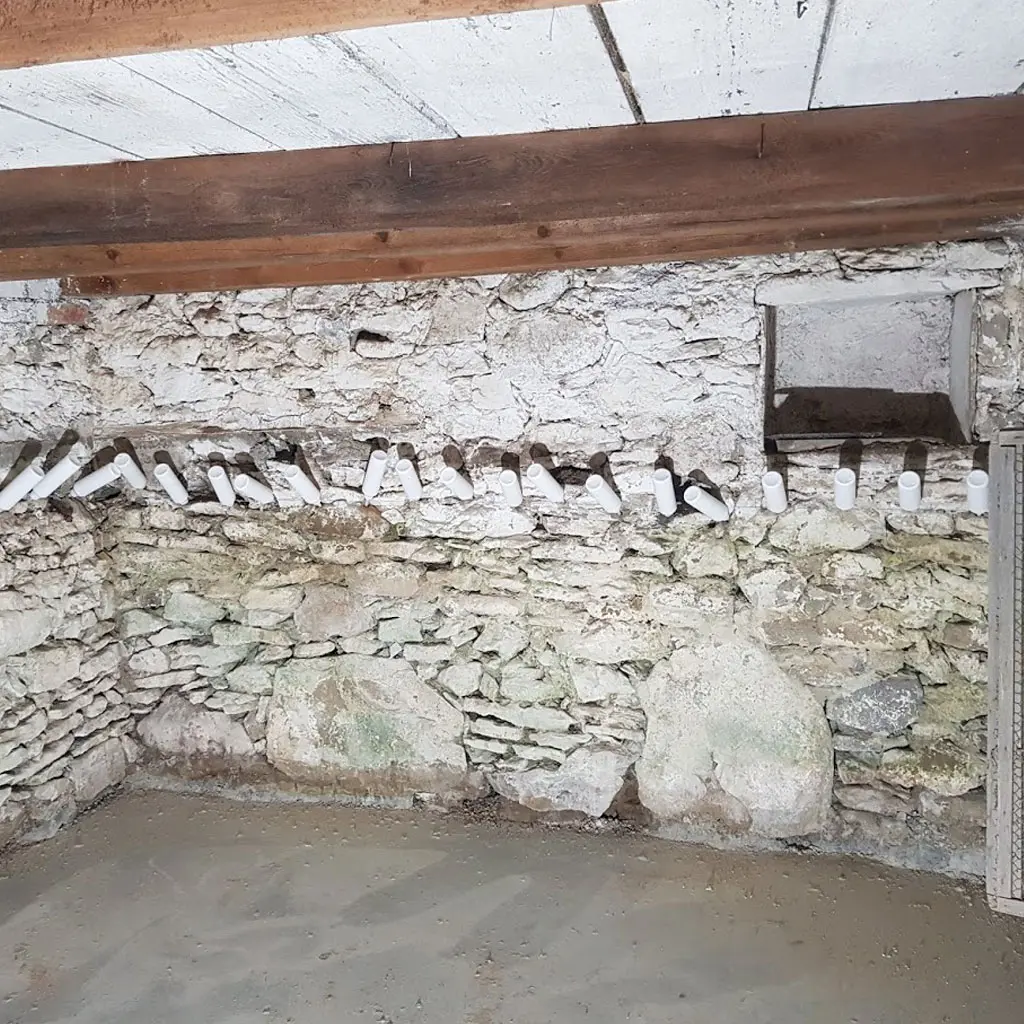 Swiss Renovation - Schimmelbeseitigung